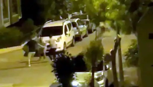 Avcılar'da Ortaya Çıkan Saldırı Olayında Vatandaşlar Kurtardı
