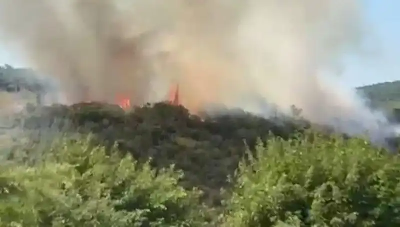 İstanbul’da Büyük Orman Yangını: Vatandaşlar Acil Olarak Tahliye Edildi