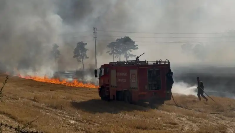 Kırklareli'nde Yangın Paniği: Anız Yangını Kontrolden Çıktı