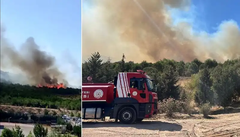 Gebze'de Korkutan Orman Yangını: Yangının Nedenleri ve Son Durum