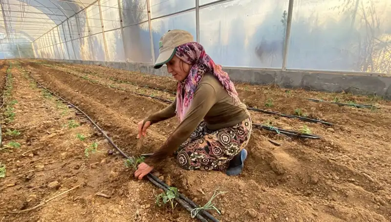 Fideler Toprakla Buluşuyor: Gençler Her Gün 6 Saat Çalışıyor!