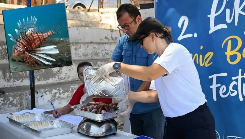 Antalya’da İstilacı Aslan Balığı Avlama Yarışması: Koruma Mücadelesi İçin Heyecan Dolu Anlar