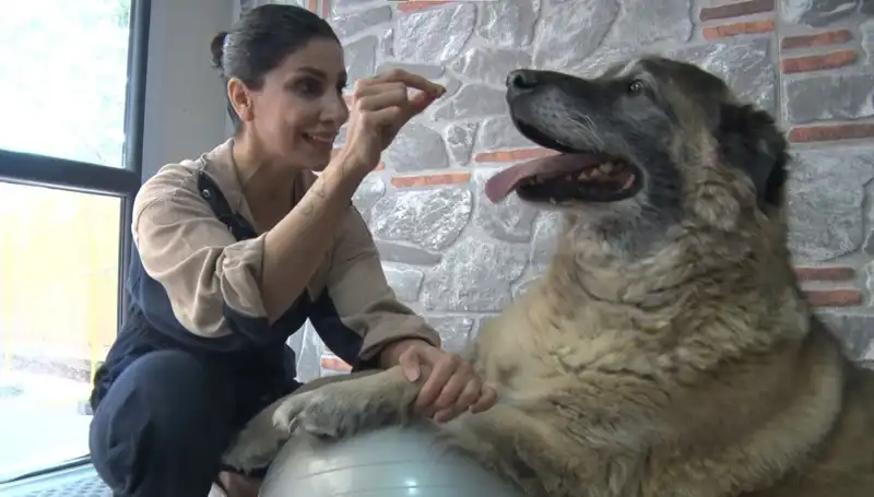 Obeziteyle Mücadelede Yeni Bir Başarı Hikayesi: 55 Kilo Duman’ın Dönüşümü