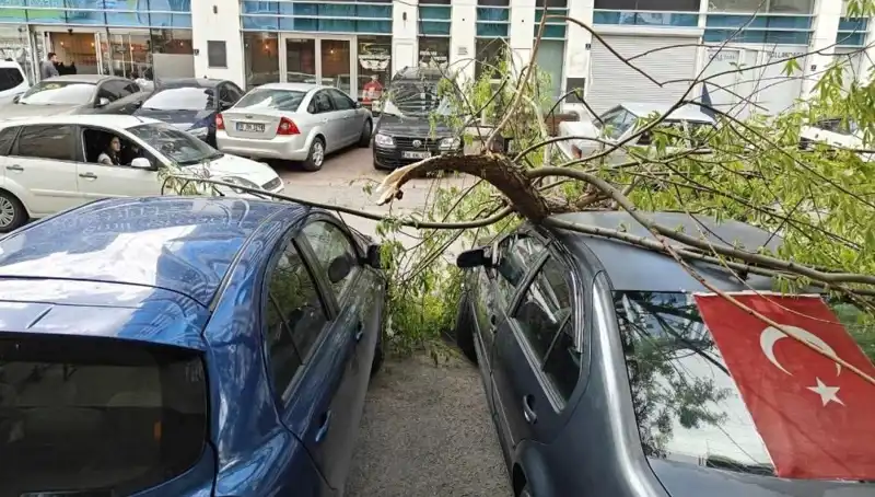 Kayseri'de Dalları Kıran Fırtına: Şehir Sarsıldı!