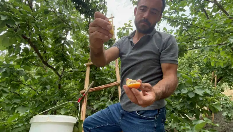 50 TL ile 70 TL Arasında Tüketiciyle Buluşan Eşsiz Lezzet