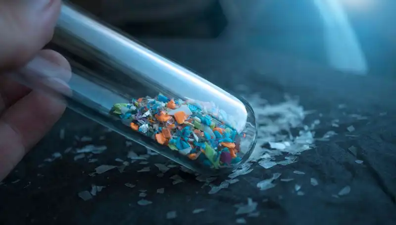 Mikroplastikler İnsan Beyninde: Sırlarda Gizli Tehlike