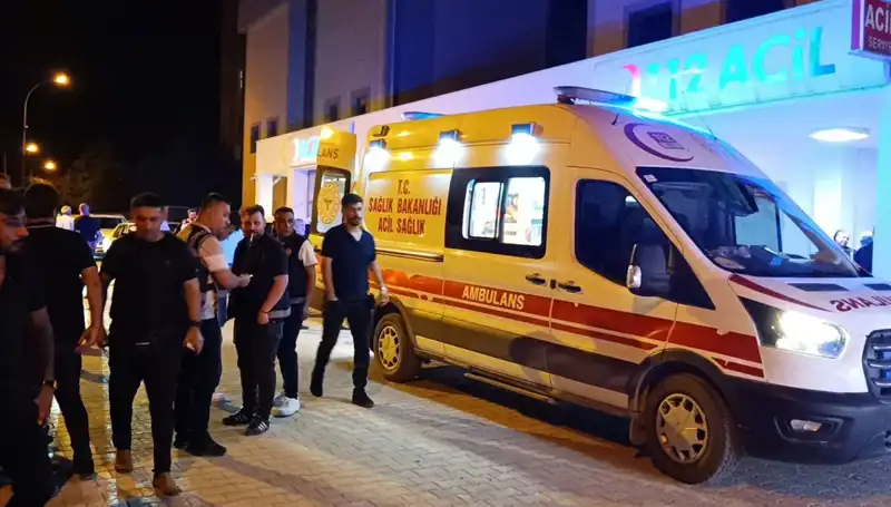 Kavga Ayırmaya Çalıştı, Kardeşi Facianın Ortasında Kaldı