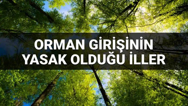 2025'te Hangi İllerde Ormana Girmek Yasaklanacak? İşte Listesi!