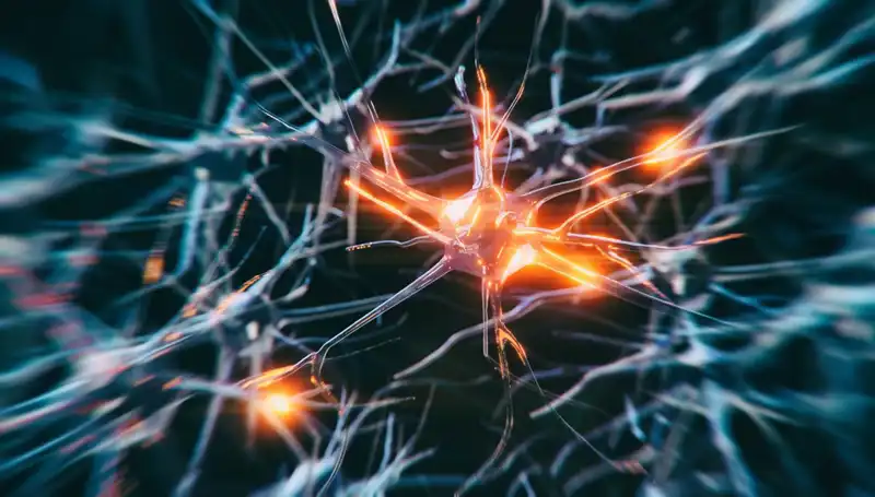 Alzheimer Vakalarındaki Artışın Arkasındaki Sebepler Neler?