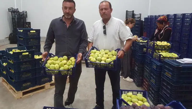 Mersinli Çiftçinin Yüzünü Güldüren İhracat Fırsatı: Tanesi 20 TL!