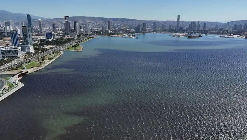 İzmir Körfezi'nde Kötü Koku Alarmı: Sebepleri ve Çözüm Önerileri