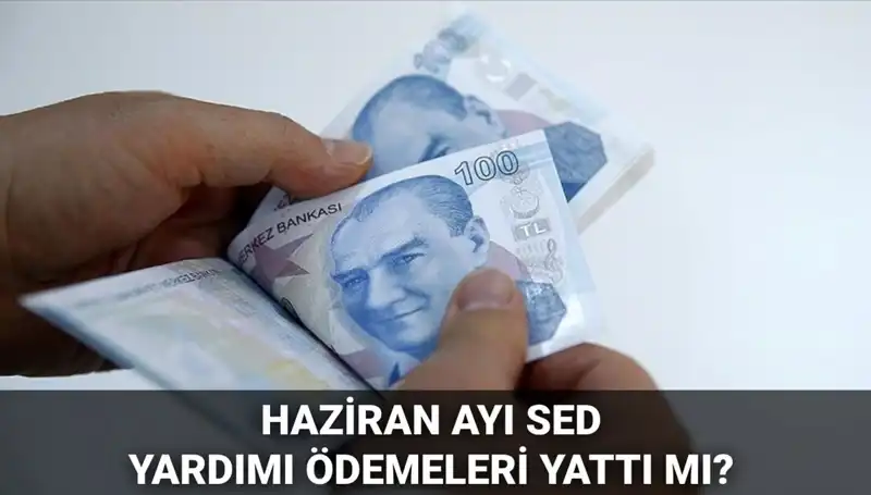 2025 Haziran SED Ödeme Tarihleri ve Sorgulama Yöntemleri Açıklandı