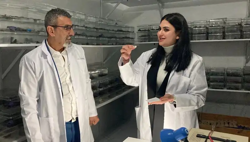 Akrep Zehri ile Şeker Karışımı: Şok Edici Tüketim Trendleri