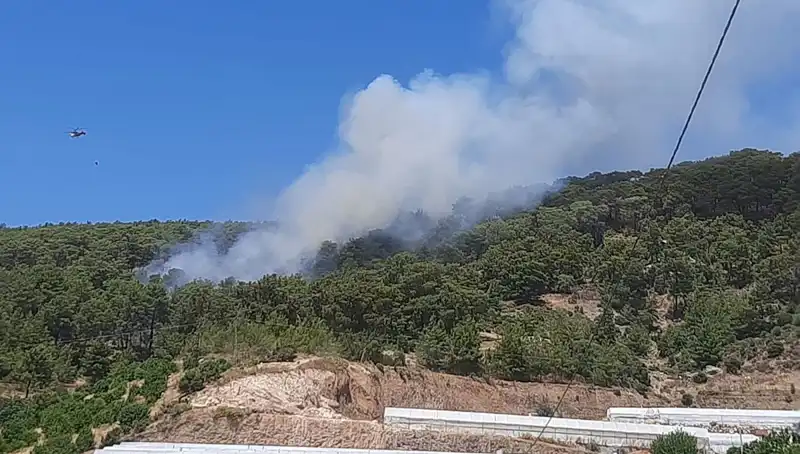 Kumluca'da Sıcak Havalar Orman Yangınını Tetikledi: Son Durum Ne?